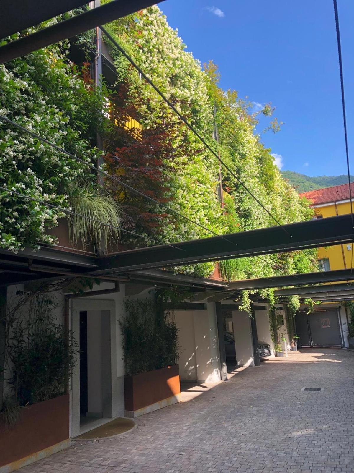 Residence Casa Coppa Appartamento Iris Omegna Exteriör bild